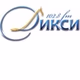 Дикси logo