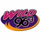 Logo de Wild 96.3 - WXWX