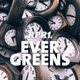 Logo de RPR1. - Evergreens