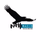 Namib Radio logo