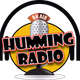 Logo de Humming Radio