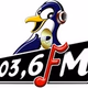 Logo de Radio Pinguin FM