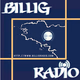 Logo de Billig Radio