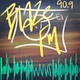 WVVS-FM logo