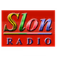 Radio Slon FM logo