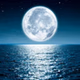 LUNA LINDA DE LA NOCHE logo