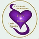 Logo de 5D Radioflix - LUV Radio Latin America