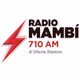 Logo de Radio Mambi 710AM - WAQI