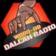 DALLAH RADIO (WDRO-DB) logo