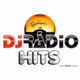 DJRÁDIO HITS logo