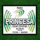 Rádio Princesa das Matas logo