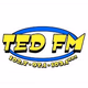 Logo de Ted FM - K274BH