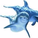 Logo de Delfin radio Prokuplje