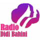 Radio Didi Bahini 95.2 logo