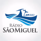 Logo de Rádio São Miguel AM 880