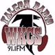 Falcon Radio - WKCS logo