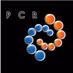 Logo de PCR