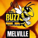 Logo de The Buzz Melville
