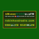 Logo de Robin Hood Radio - WHDD