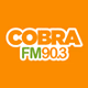 Rádio Cobra FM 90.3 logo