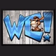 Wild Country logo
