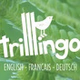 Trilllingo logo