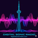 Logo de DSR1-Digital Sonic Radio