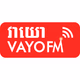 Logo de VAYO FM 105.5