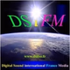Logo de DSi FM