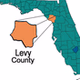 levyHitsRadio logo