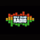 Logo de Skills Village Radio