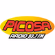 Radio Picosa logo