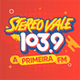 Stereo Vale logo