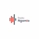 Logo de Radio Ngamia
