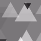 Logo de Anoma FM