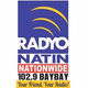 Logo de Radyo Natin Baybay - DYSA