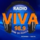 Radio Viva Pichanal logo