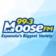 Logo de 99.3 Moose FM - CJJM-FM