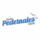 Empresas Radiofónicas - Radio Pedernales logo
