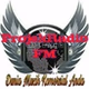 ProjekRadioFM logo