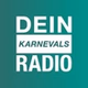 Radio RSG - Dein Karnevals logo