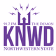 Logo de The Demon - KNWD