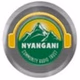 Nyangani Community Radio Station logo