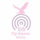 Logo de DS Fly Waves Radio