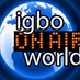 Logo de IgboNation Network