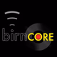 Logo de The BIRN - birnCORE