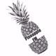 Logo de Pineapple FM