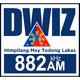 Logo de DWIZ 882 - DWIZ
