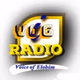 Logo de VOG i RADIO