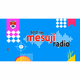 Logo de Radio Suara Mesuji